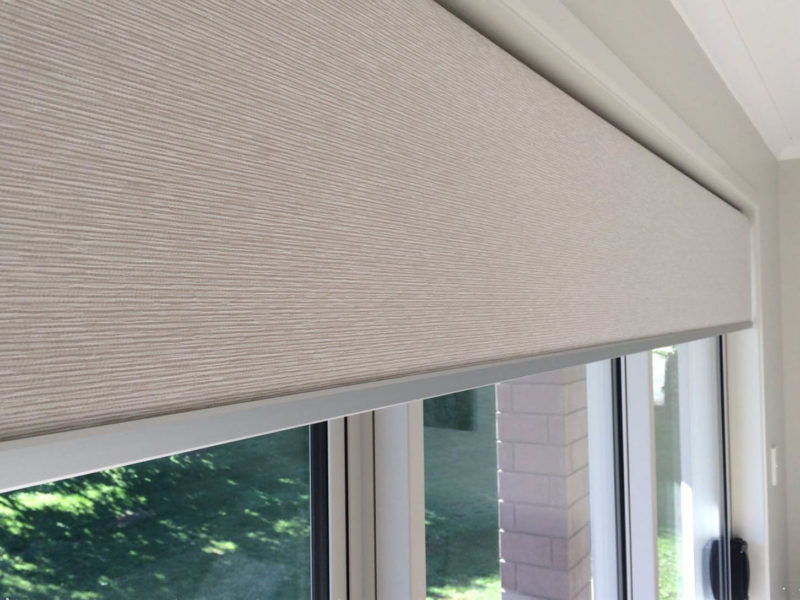 Roller Blinds - Blinds On Location -Tauranga Blinds